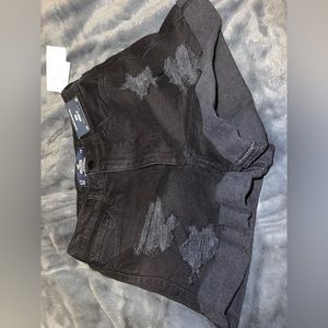 Brand new Hollister Shorts
